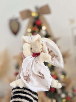 Lucien rennes de Noël