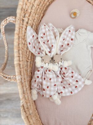 Lucien vichy coccinnelles