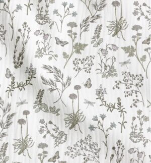 Herbier